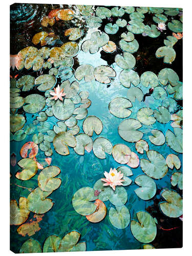 Lerretsbilde Waterlilies