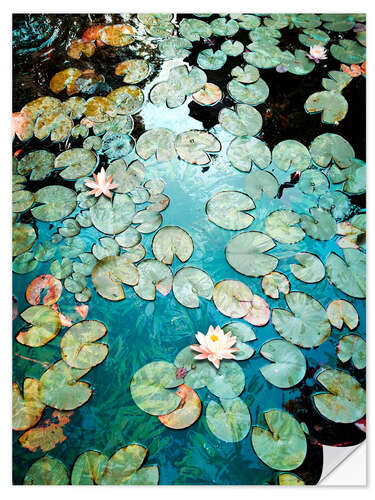 Vinilo para la pared Waterlilies