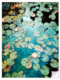 Vinilo para la pared Waterlilies