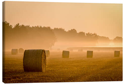 Leinwandbild Stroh im Morgennebel