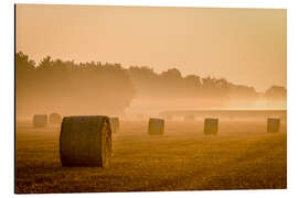 Magnettafel Stroh im Morgennebel