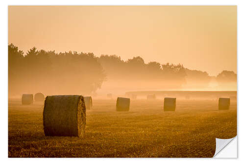 Wall sticker Straw in the morning mist