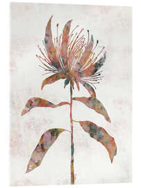 Acrylic print Silhouette plant II