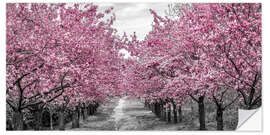 Wall sticker Enchanting cherry blossom avenue