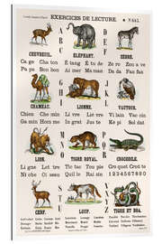 Gallery print Animal Alphabet (french)