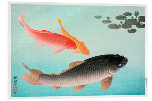 Acrylglasbild Common & Golden Carp