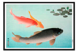 Gerahmter Kunstdruck Common &amp; Golden Carp