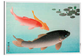 Magnettafel Common &amp; Golden Carp