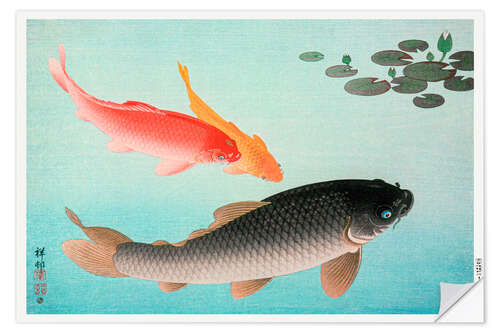 Vinilo para la pared Common & Golden Carp