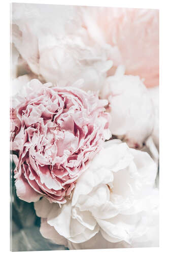 Acrylic print Delicate peonies