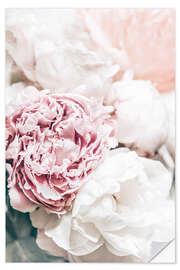 Vinilo para la pared Delicate peonies