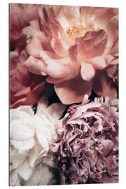 Tableau en plexi-alu Peony flowers