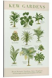 Magnettafel Königlicher Botanischer Garten, Kew