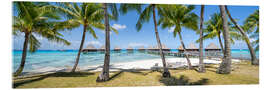 Acrylic print Palm Beach Panorama