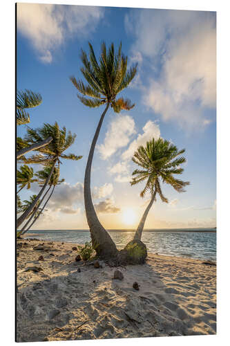 Alubild Sonnenuntergang am Palmenstrand in den Tropen