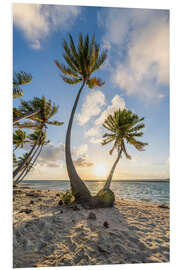 Foam board print Sunset on the palm beach in the tropics