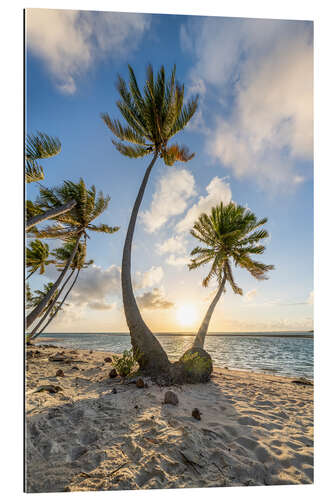 Gallery print Sunset on the palm beach in the tropics