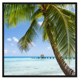Gerahmter Kunstdruck Kokospalme am Strand in der Südsee