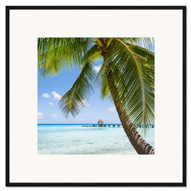 Innrammet kunsttrykk Coconut palm on the beach in the South Pacific
