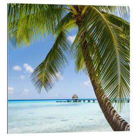 Tableau en plexi-alu Coconut palm on the beach in the South Pacific