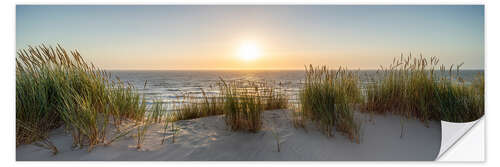 Wall sticker On the dune beach at sunset