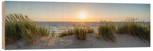 Obraz na drewnie On the dune beach at sunset