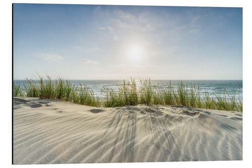 Aluminiumsbilde Dunes On the Beach IV