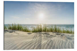 Aluminiumsbilde Dunes On the Beach IV