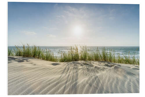 PVC-tavla Dunes On the Beach IV