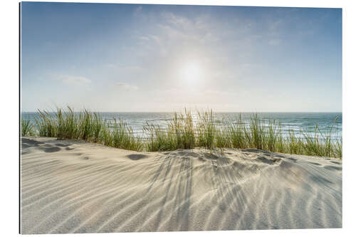 Galleritryk Dunes On the Beach IV