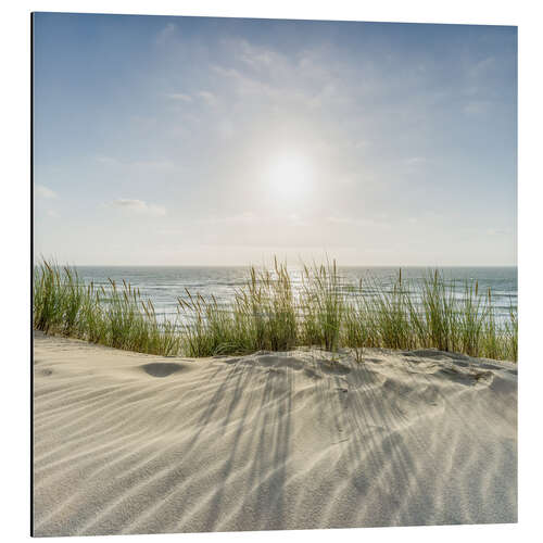 Aluminiumsbilde Dunes On the Beach II