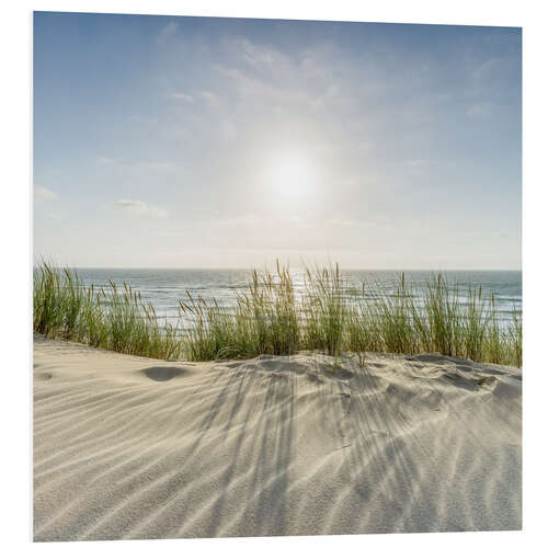 Tableau en PVC Dunes sur la plage II