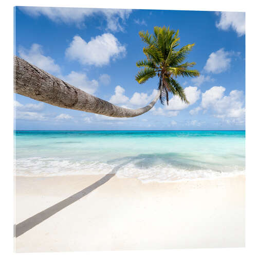 Akryylilasitaulu Coconut tree on the beach in Maldives