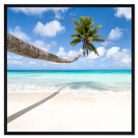 Gerahmter Kunstdruck Kokospalme am Strand auf den Malediven