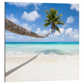 Magnettafel Kokospalme am Strand auf den Malediven