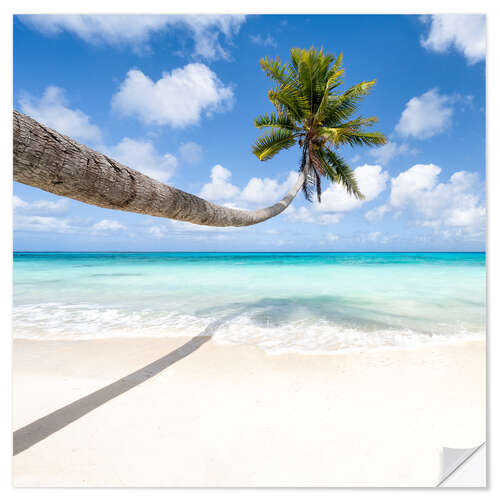 Vinilo para la pared Coconut tree on the beach in Maldives