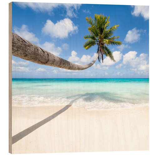 Wood print Coconut tree on the beach in Maldives