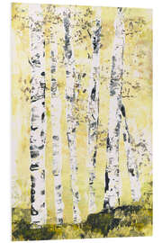 Stampa su PVC Birch trees in the sunlight