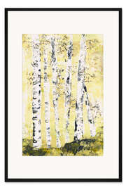 Gerahmter Kunstdruck Birken im Sonnenlicht