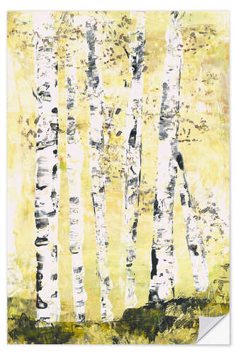 Selvklebende plakat Birch trees in the sunlight