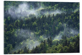 Quadro em acrílico Misty mountain forest