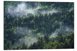 Cuadro de aluminio Misty mountain forest