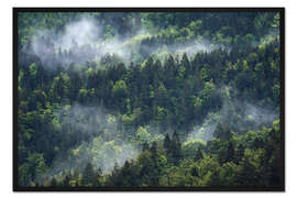 Gerahmter Kunstdruck Vernebelter Bergwald