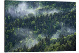 Gallery print Misty mountain forest