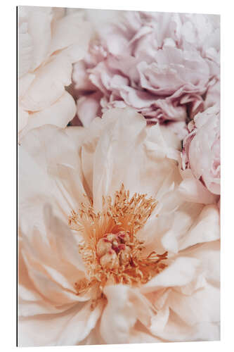 Gallery print Peonies