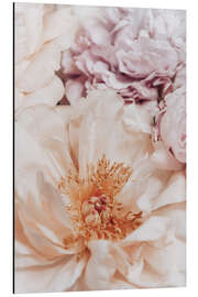 Magnettafel Pfingstrosen