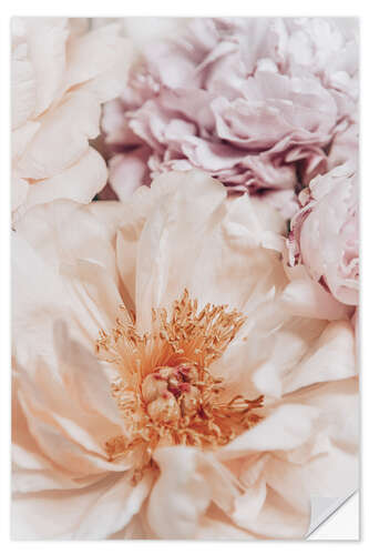 Självhäftande poster Peonies