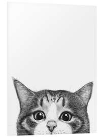 Foam board print Cute Cat