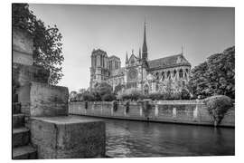 Aluminium print Notre Dame de Paris cathedral