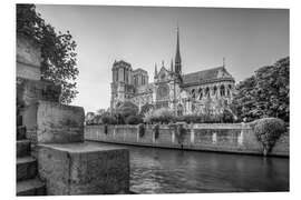 Foam board print Notre Dame de Paris cathedral